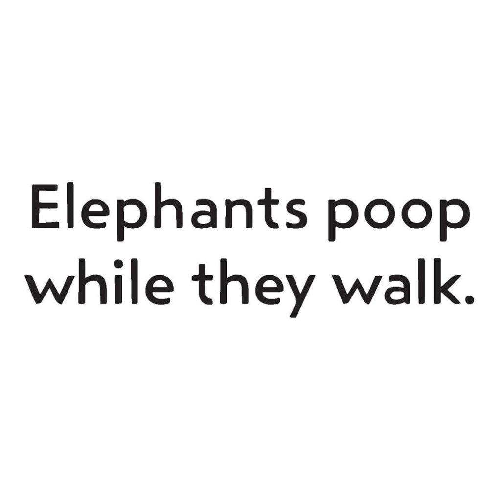 Everyone Poops Flash Cards - card sample back 1.