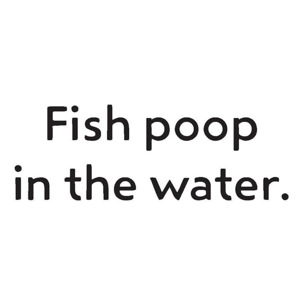 Everyone Poops Flash Cards - card sample back 2.
