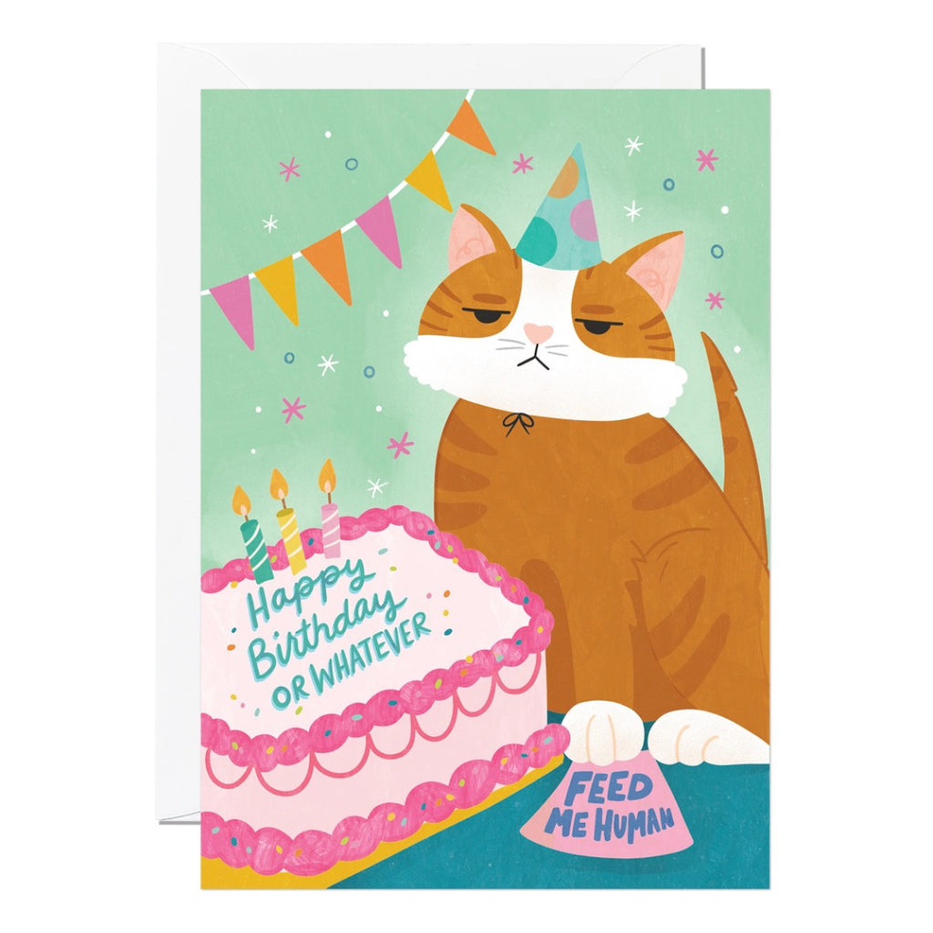 Feed Me Human Cat Birthday Card.