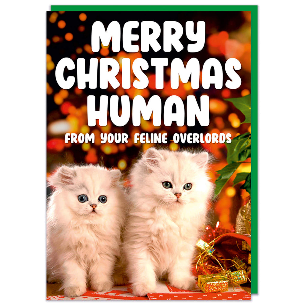 Feline Overlords Christmas Card.