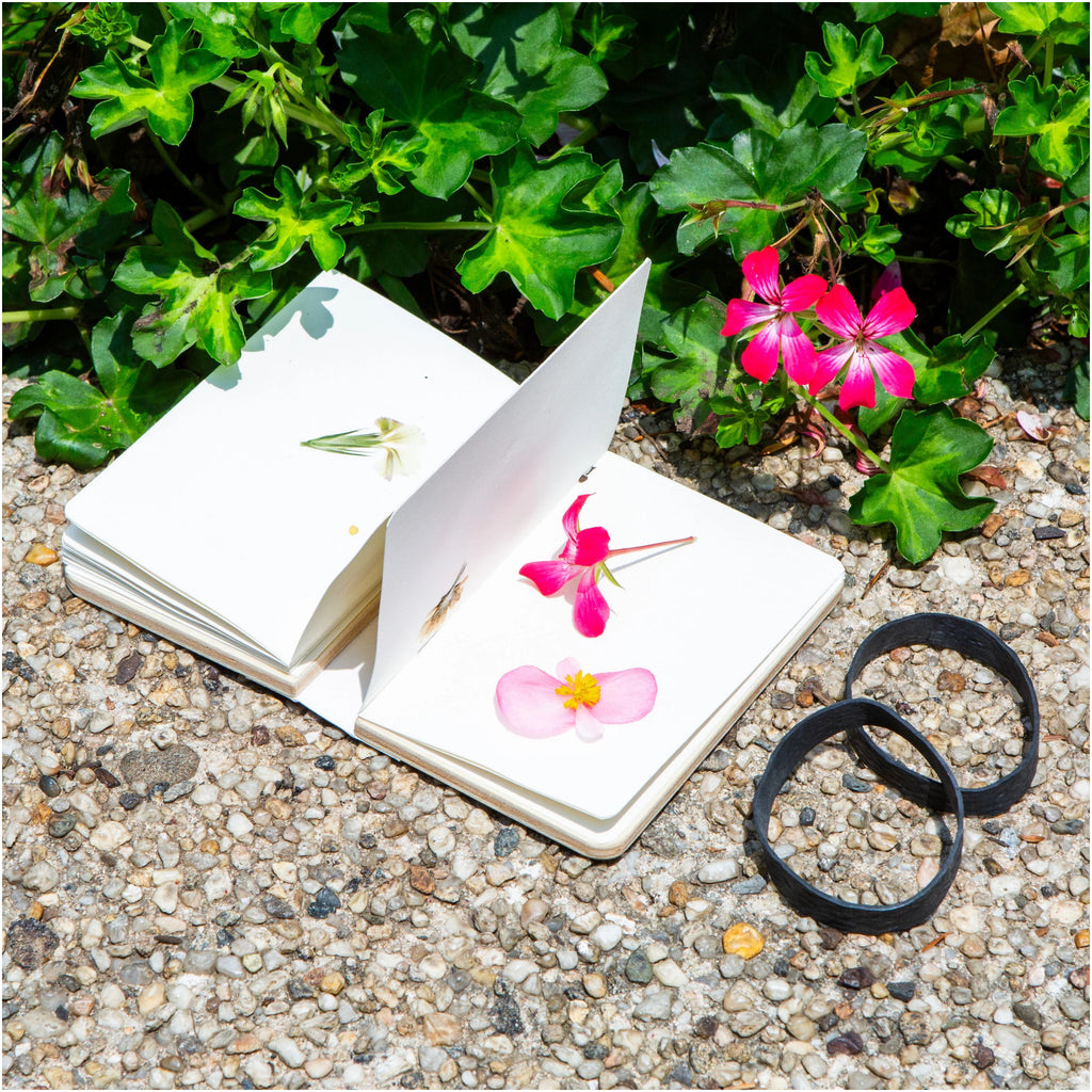 Field Flower Press on ground.