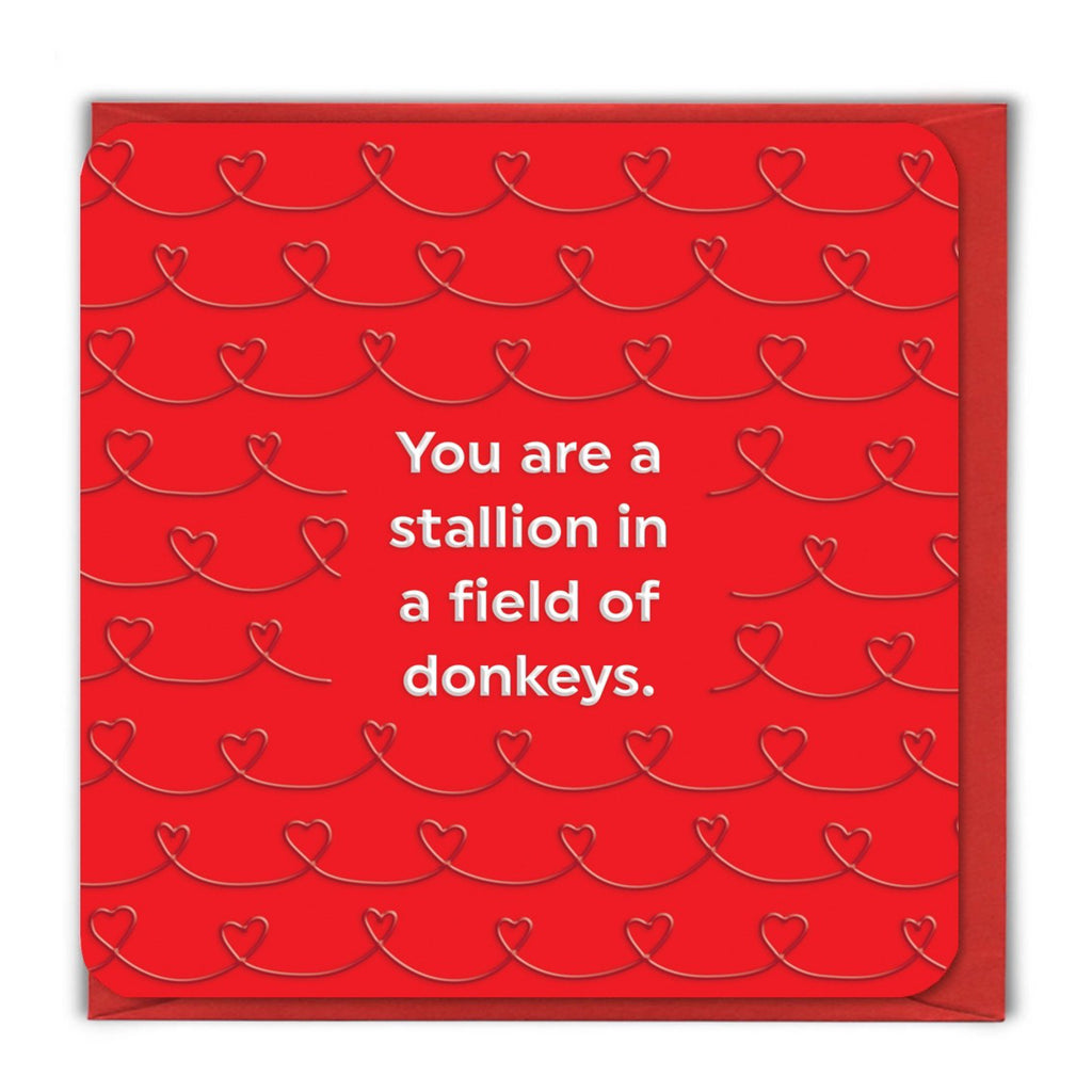 Field Of Donkeys Card.