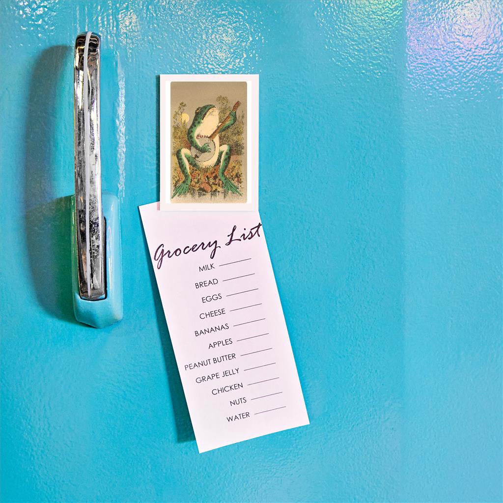 Frog Playing Banjo In Moonlight Magnet on refrigerator.