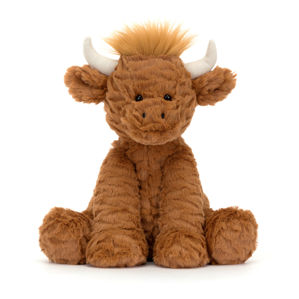 Front of Fuddlewuddle Highland Cow.