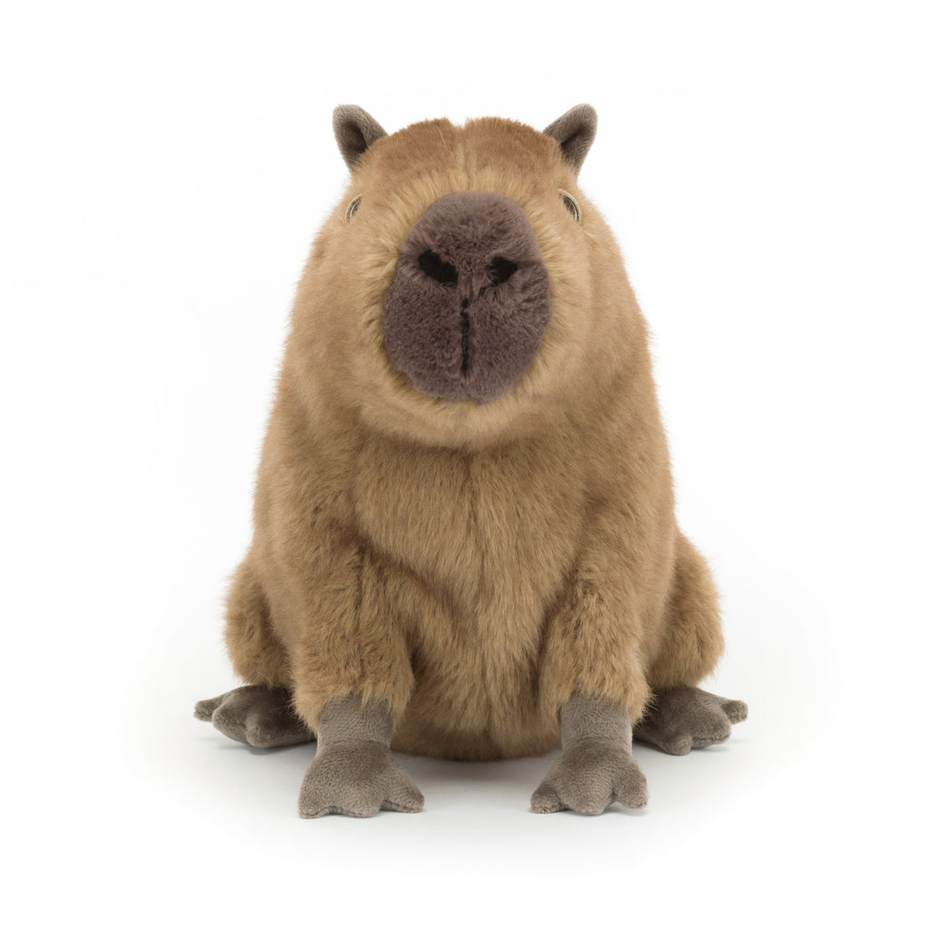 Front of Jellycat Clyde Capybara.