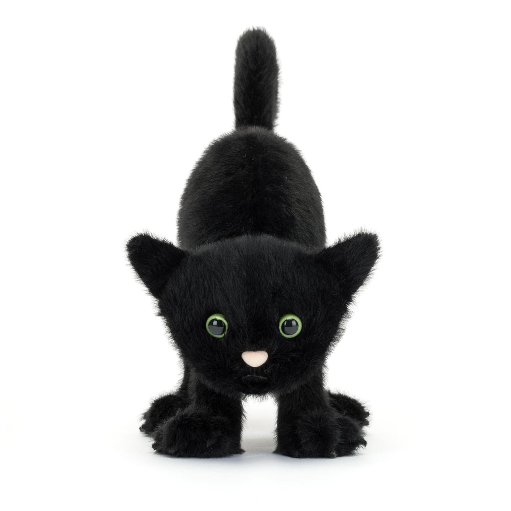 Front of Spookipaws Cat.