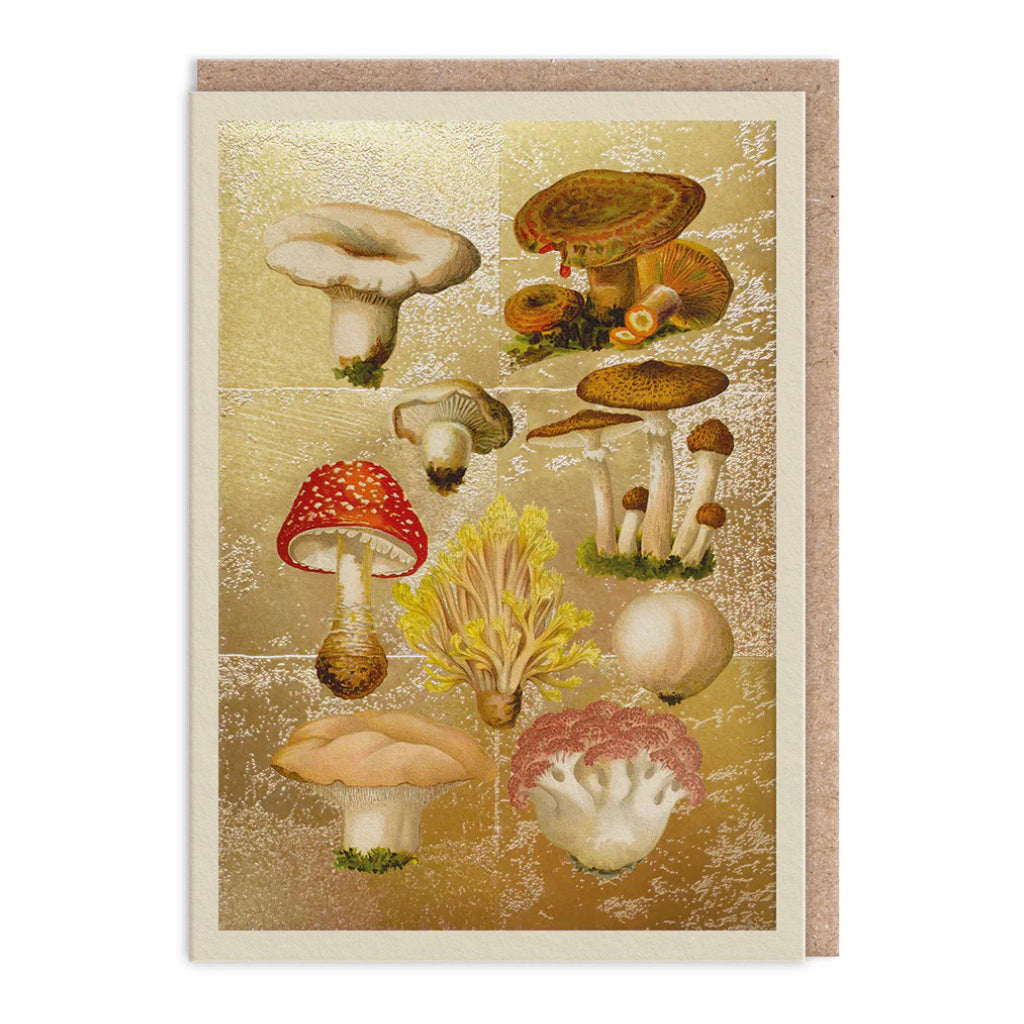 Fungi Botanical Drawings Card.