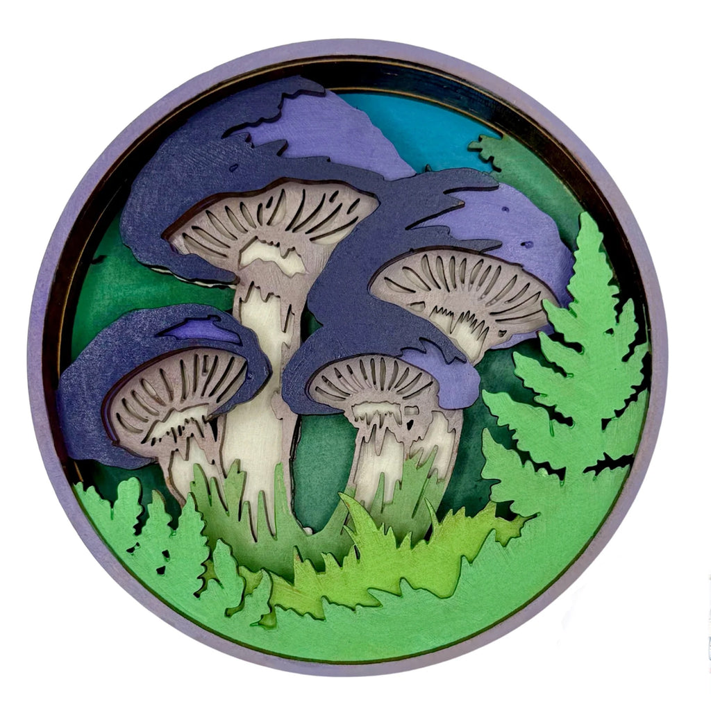 Fungi Shadow Box Kit.