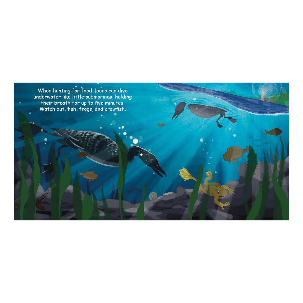 Good Night Loons - spread 1.