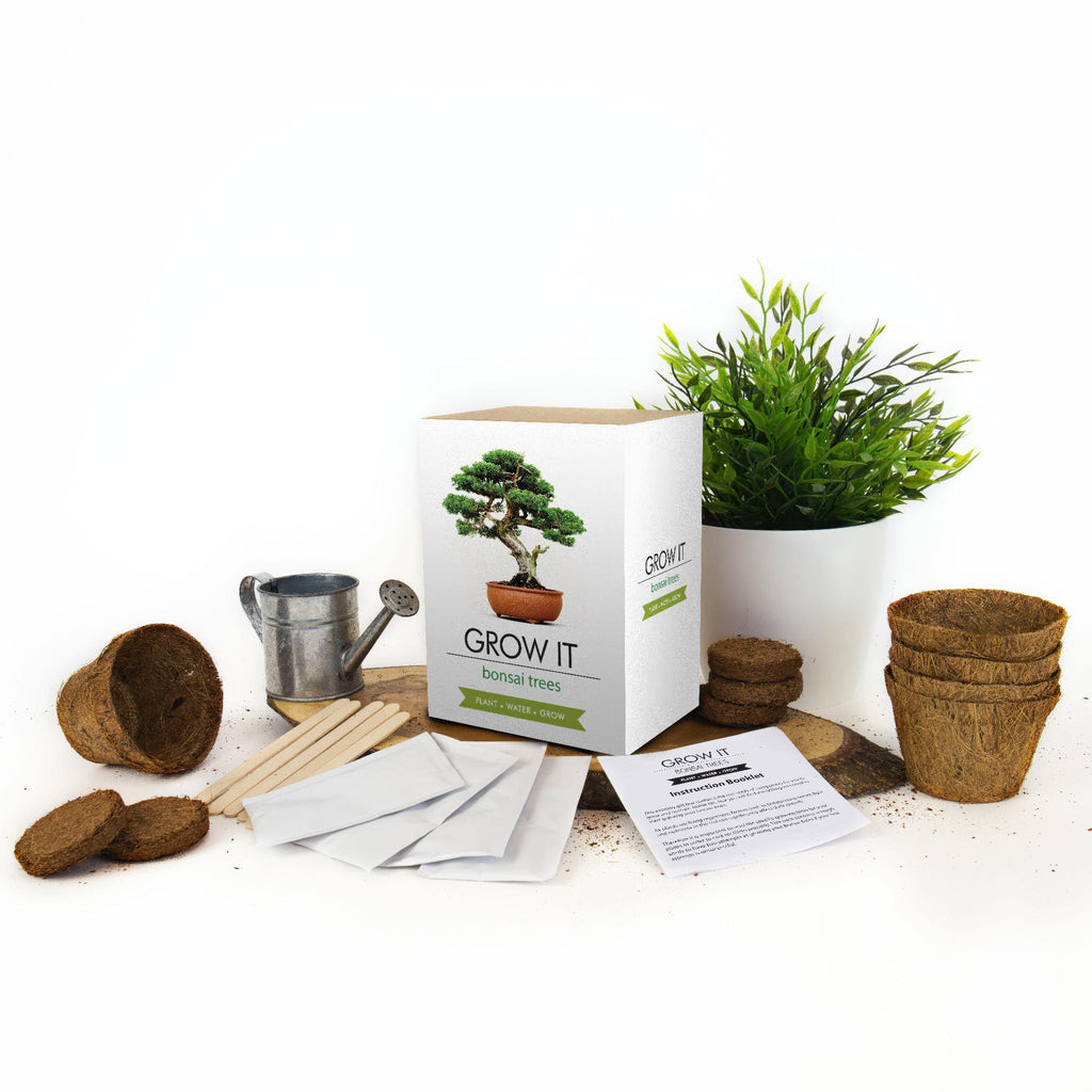 Grow Your Own Bonsai Tree contents.