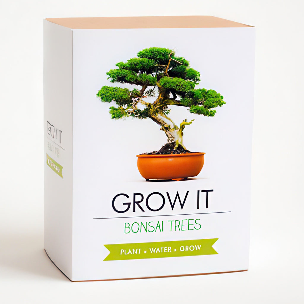 Grow Your Own Bonsai Tree.