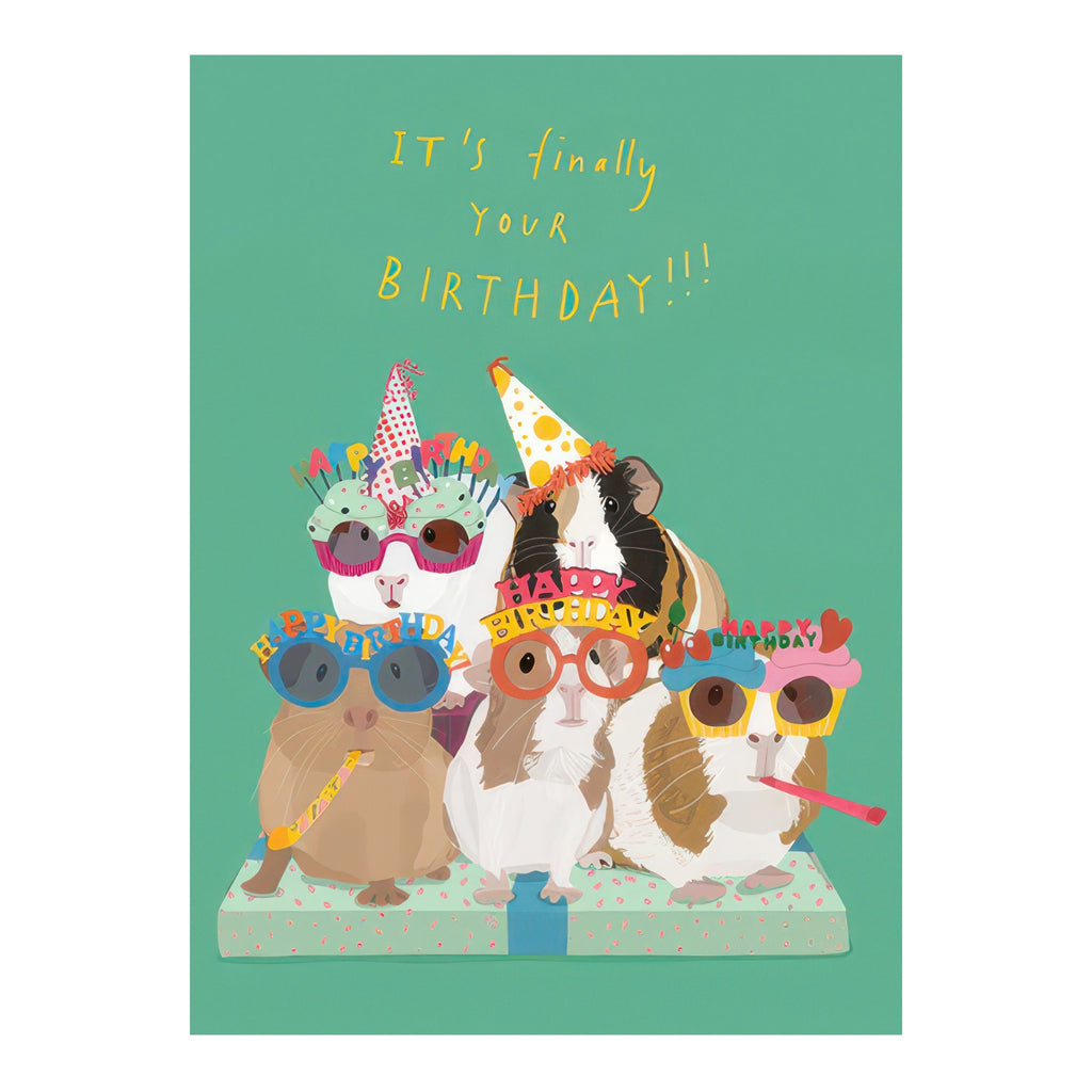 Guinea Pig Party Birthday Card.