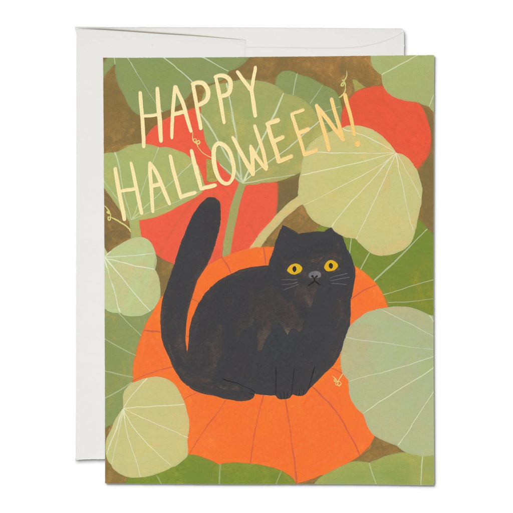 Halloween Kitten Greeting Card.