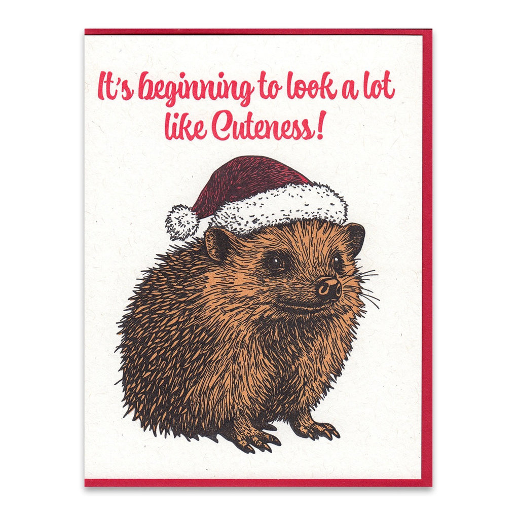 Hedgehog Cuteness Christmas Card.