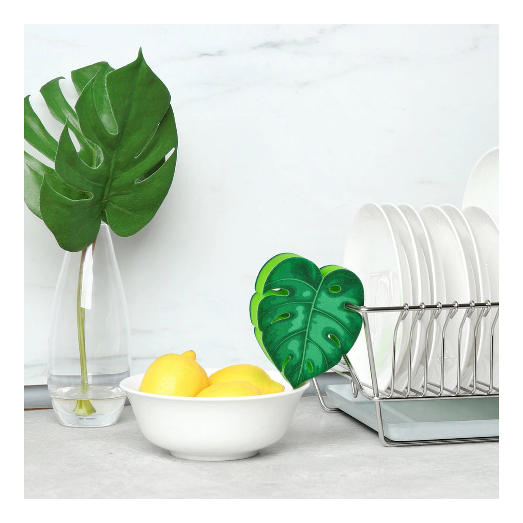 House Plant Dish Sponges on table.