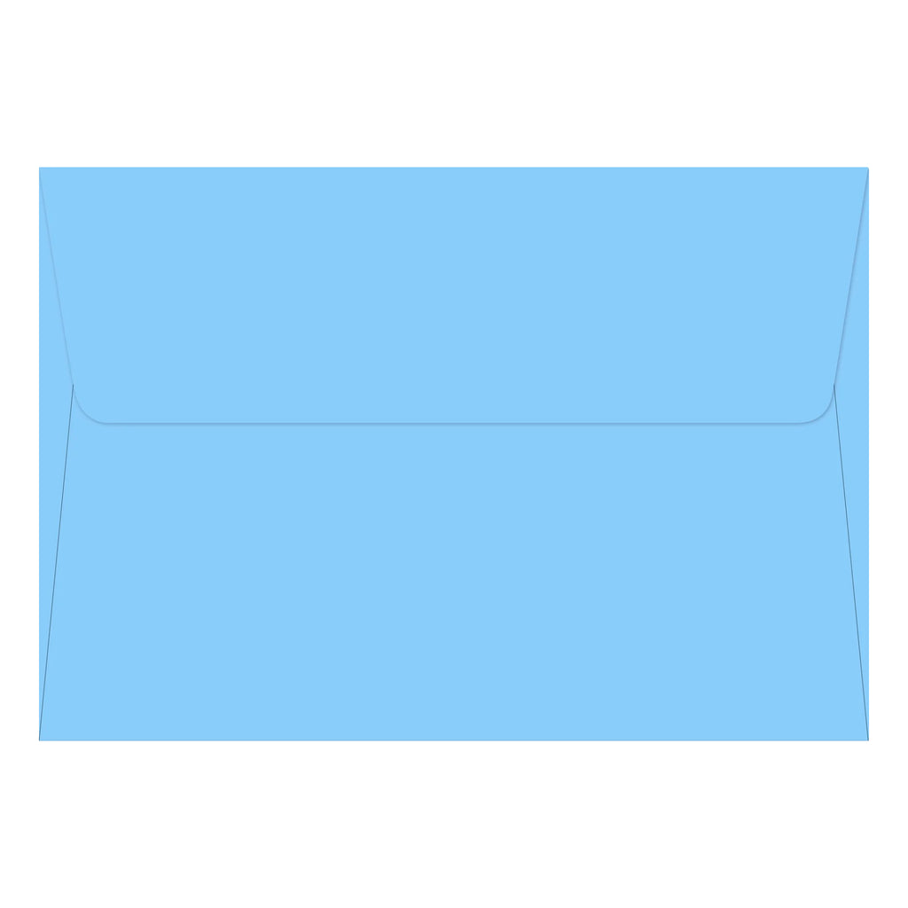 Hummingbird Garden Boxed Note Envelope.