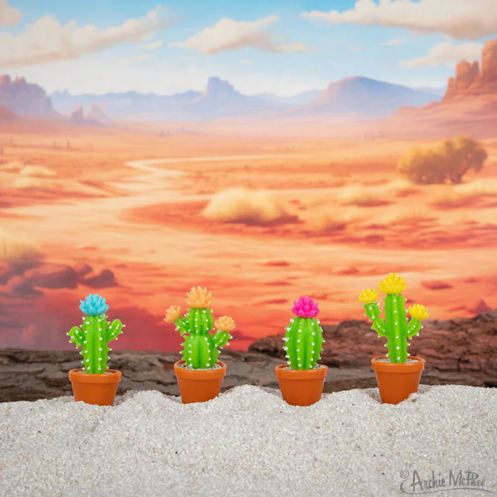 Itty Bitty Cactus against faux desert backdrop.