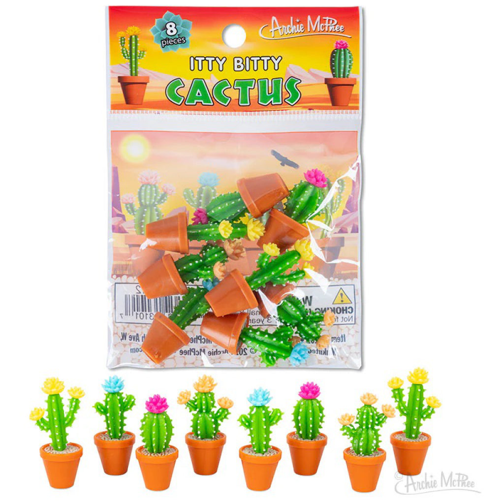 Itty Bitty Cactus.