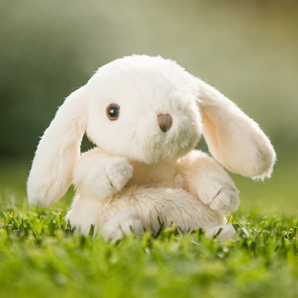 Kanini Bunny White on grass.