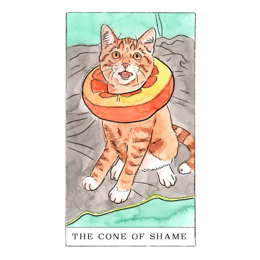 Kitten Oracle - sample card 4.