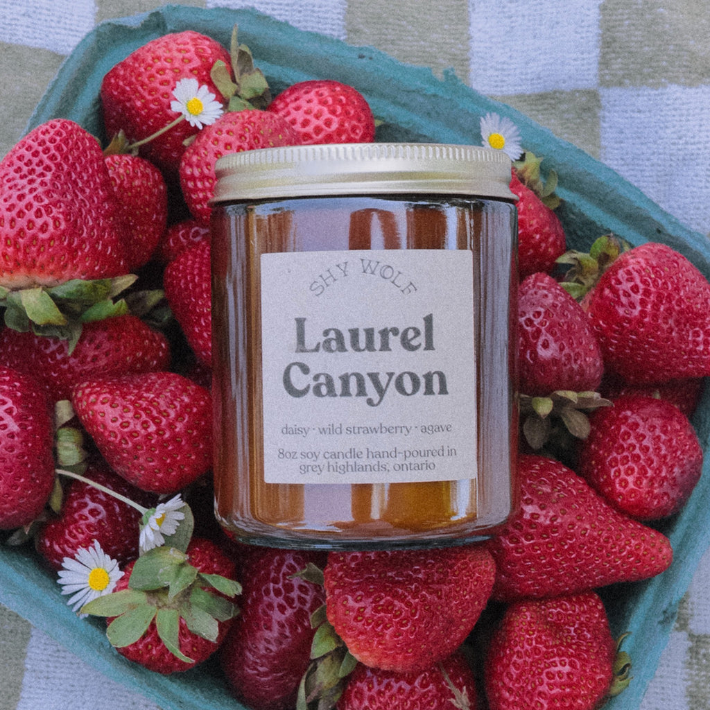 Laurel Canyon Soy Candle in strawberries.