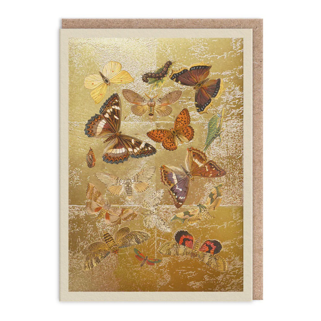 Lepidoptera Botanical Drawings Card.