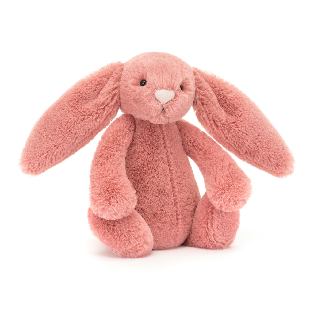 Little Jellycat bunny.