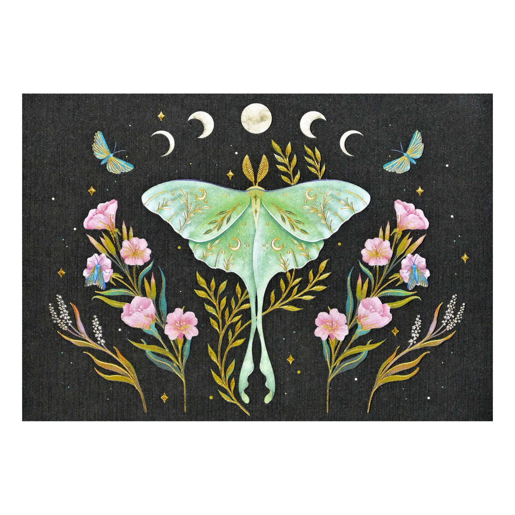 Luna Moth Boxed Card.