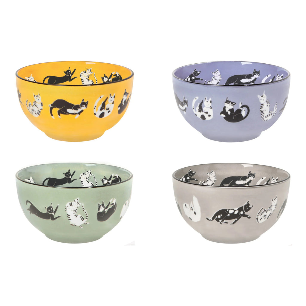 Meow & Furever Everyday Bowls.