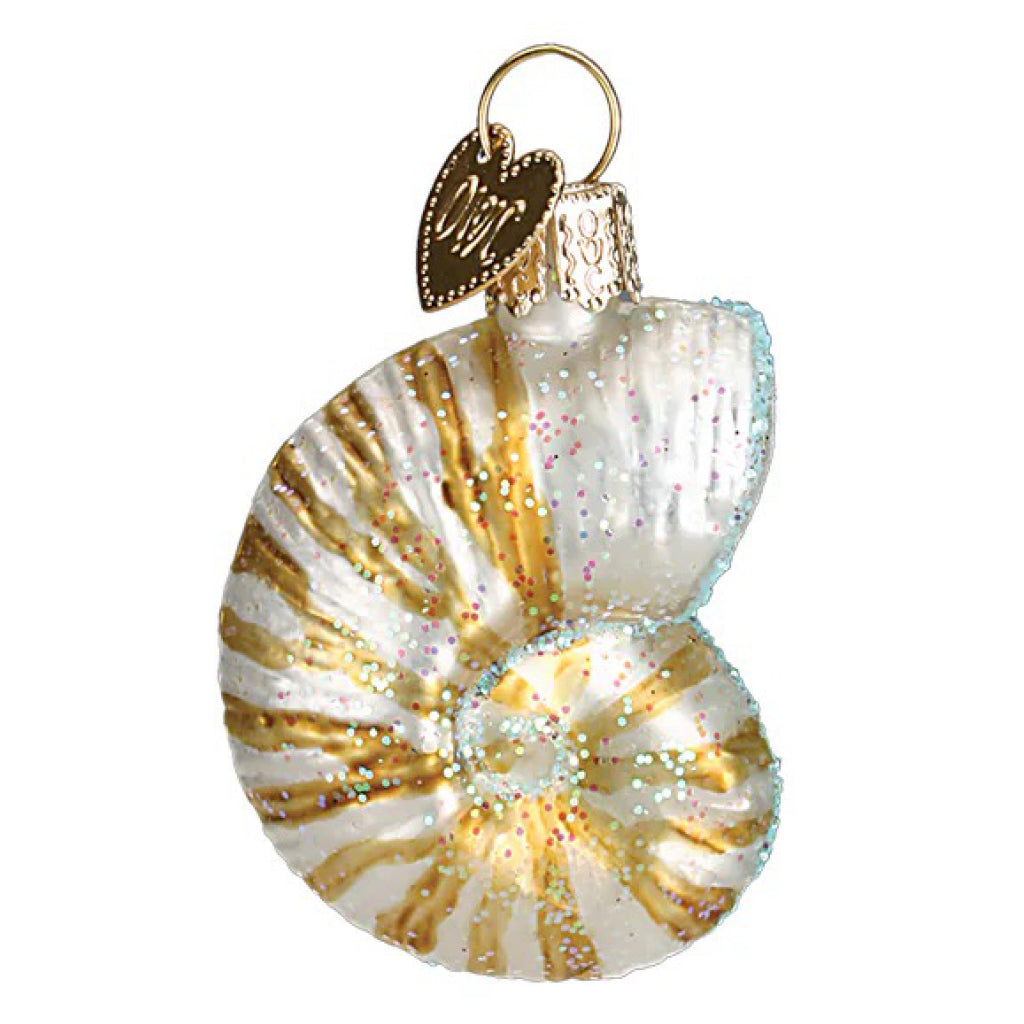 Mini Sea Shell Ornament Nautilus.