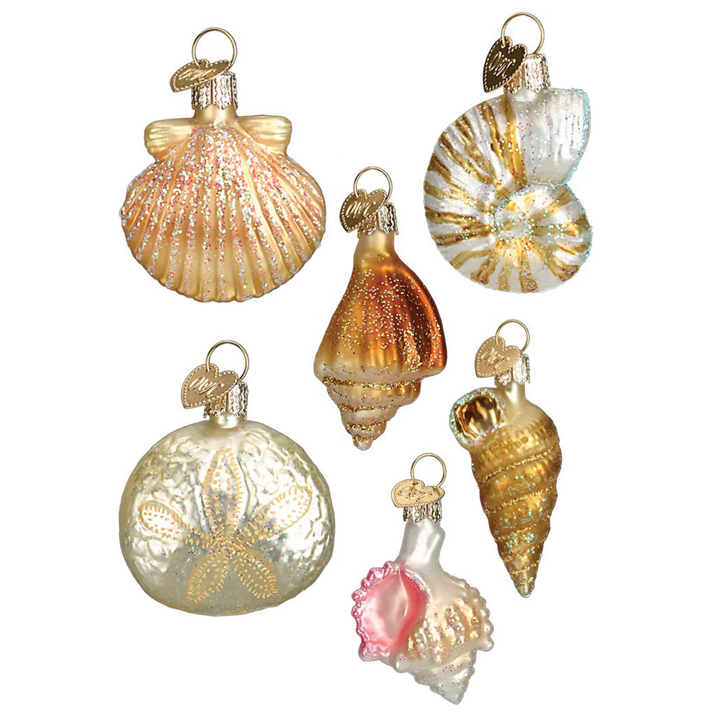 Mini Sea Shell Ornament.