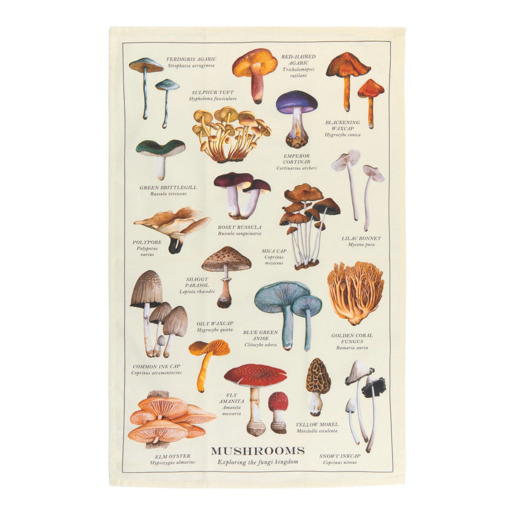 Mushrooms Fine Print Dishtowel
.