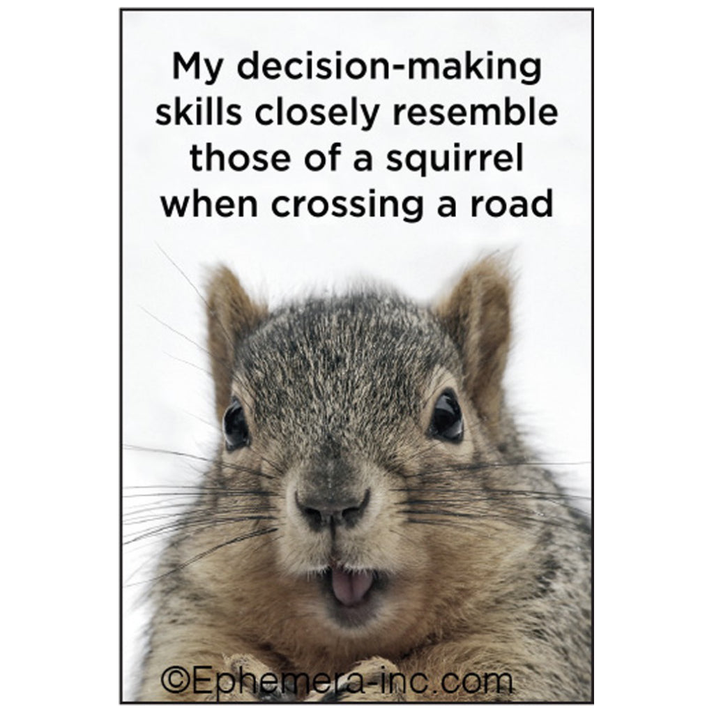 My Decision Making Skills Magnet.