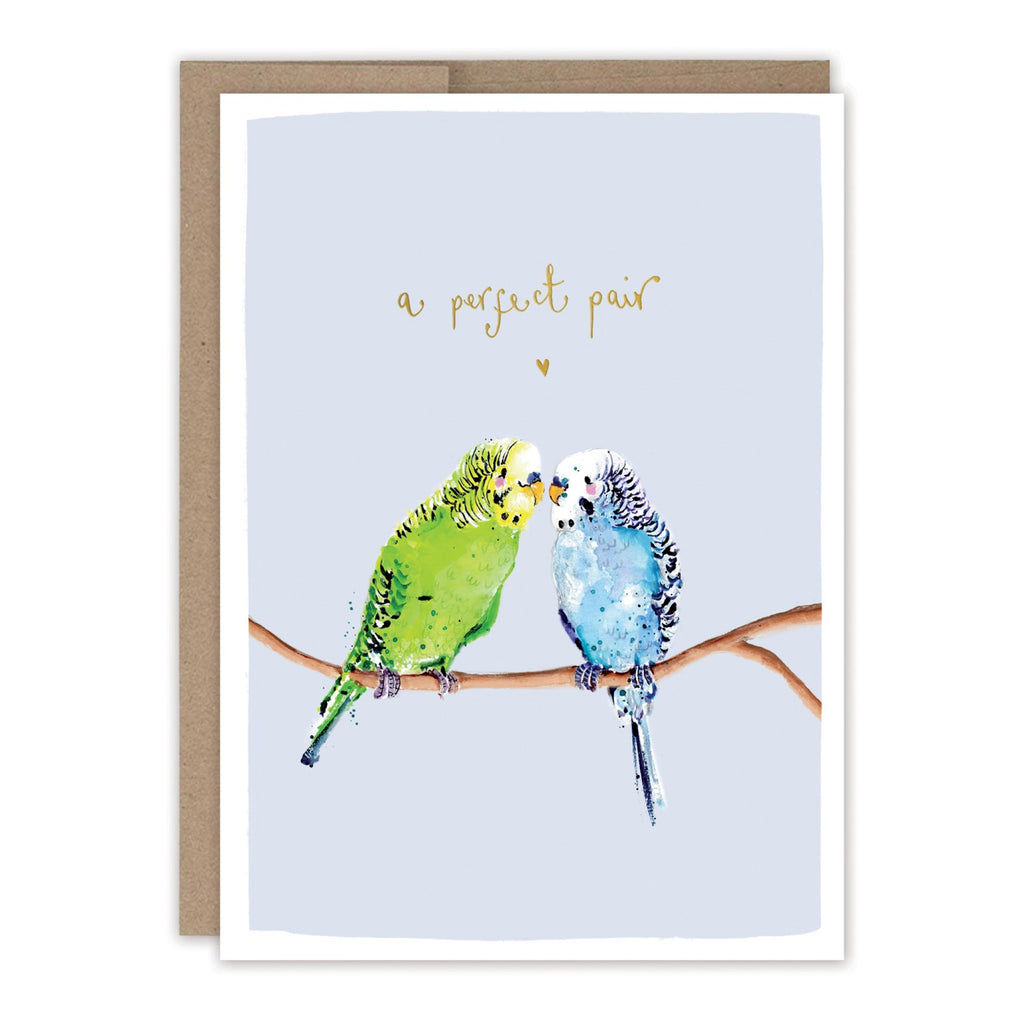 Parakeets Anniversary Card.
