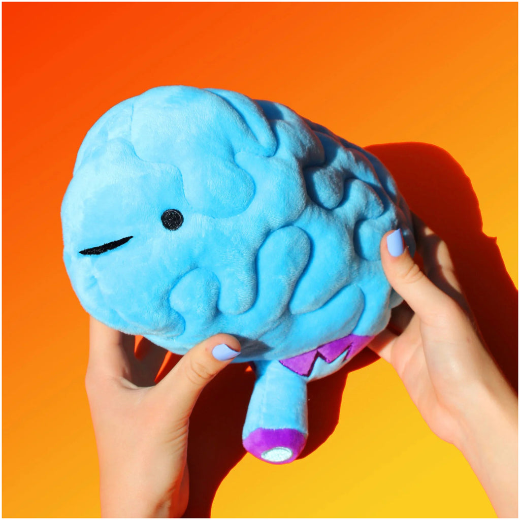 Person holding Brain Plush.