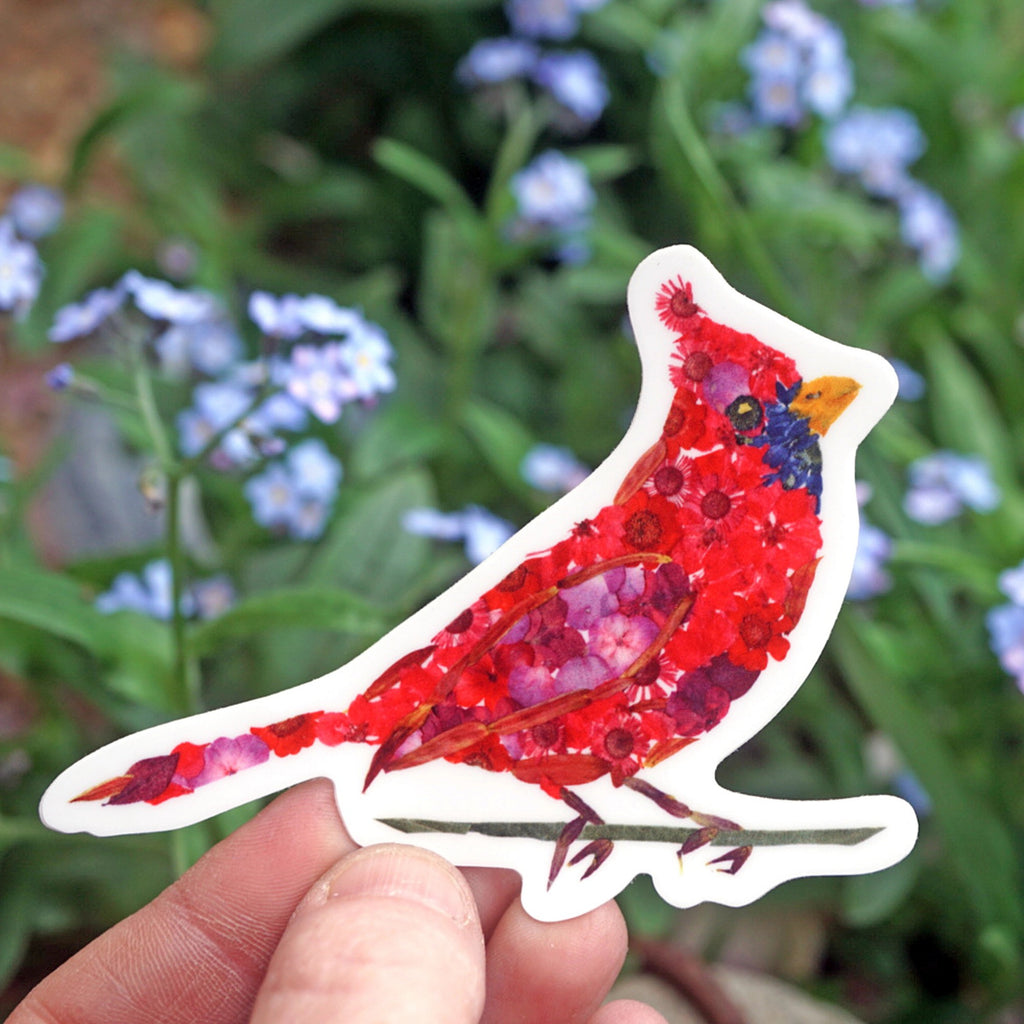 Person holding Red Cardinal Botanical Sticker.