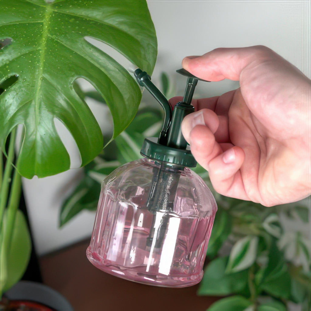 Person using Houseplant Mister.