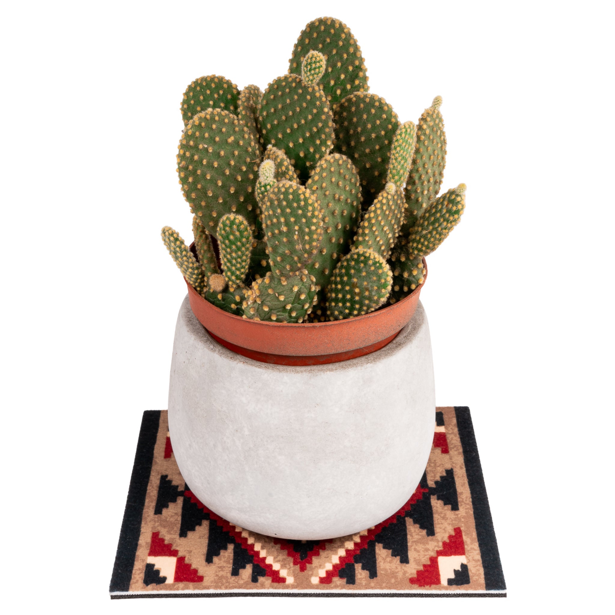 Plant Rug Plant Rug | Kikkerland – Outer Layer