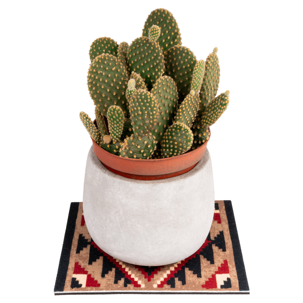 Plant Rug with cactus.