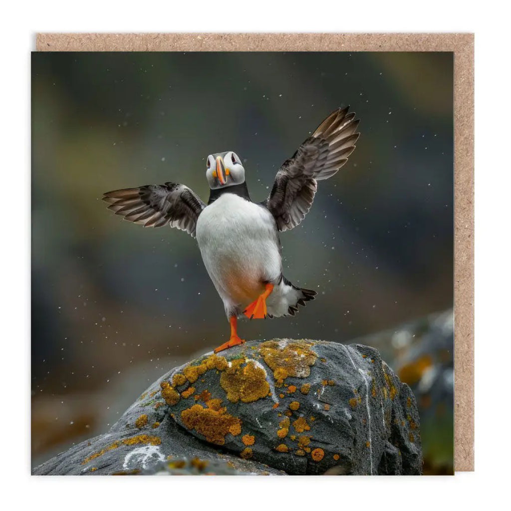 Puffin Blank Greeting Card.