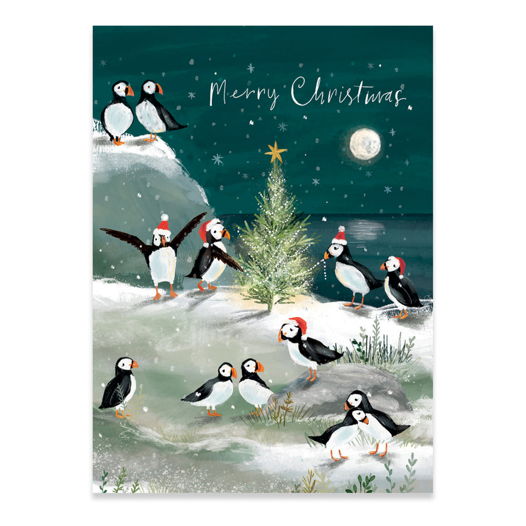 Puffins Merry Christmas.