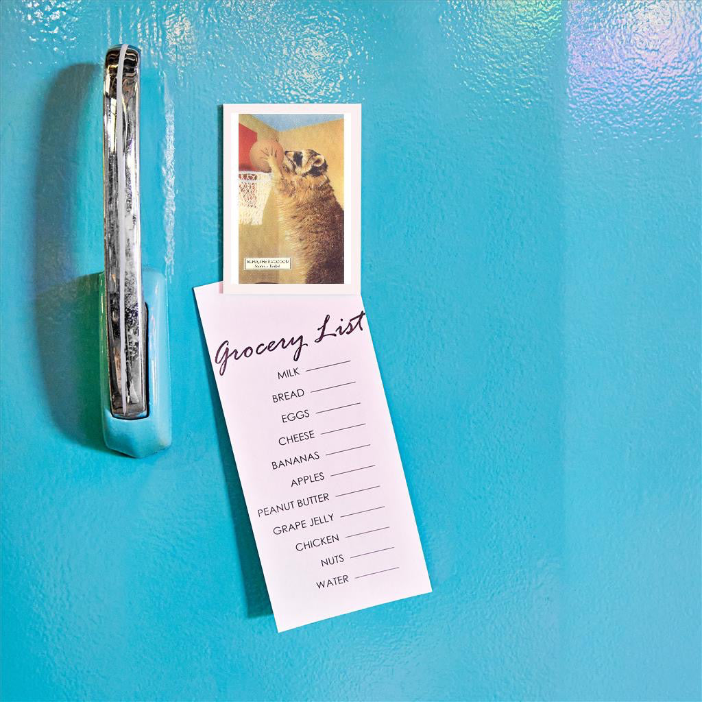 Raccoon Playing Basketball Magnet on fridge.