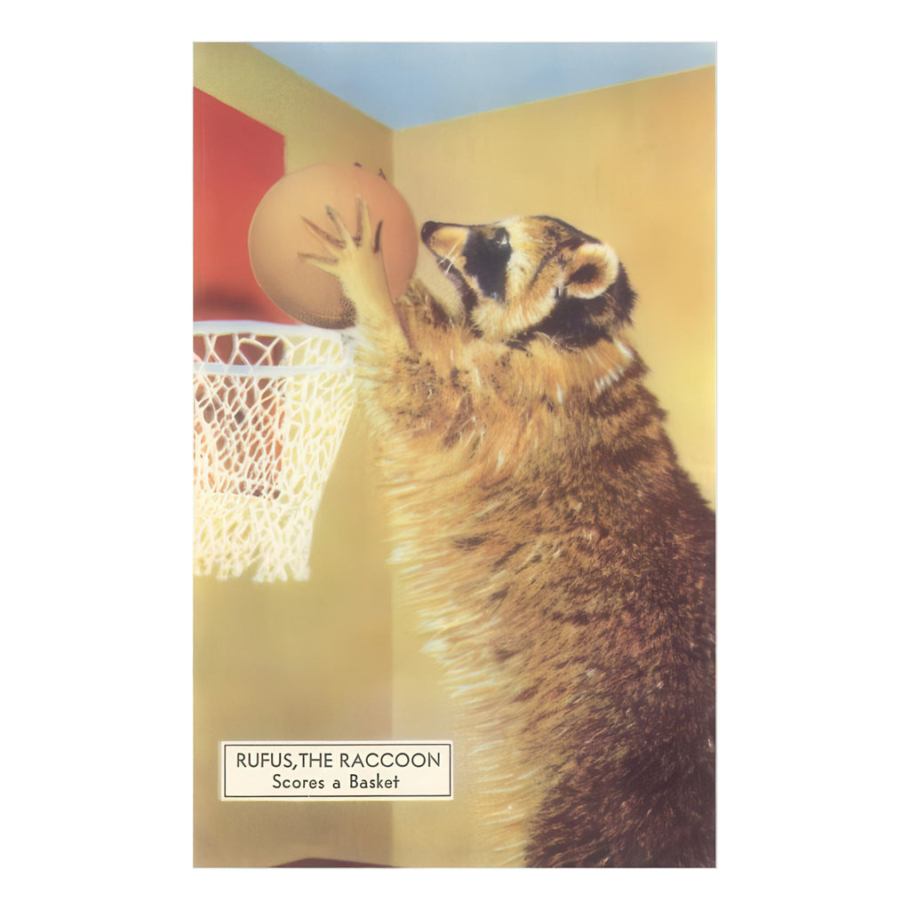 Raccoon Playing Basketball Magnet.
