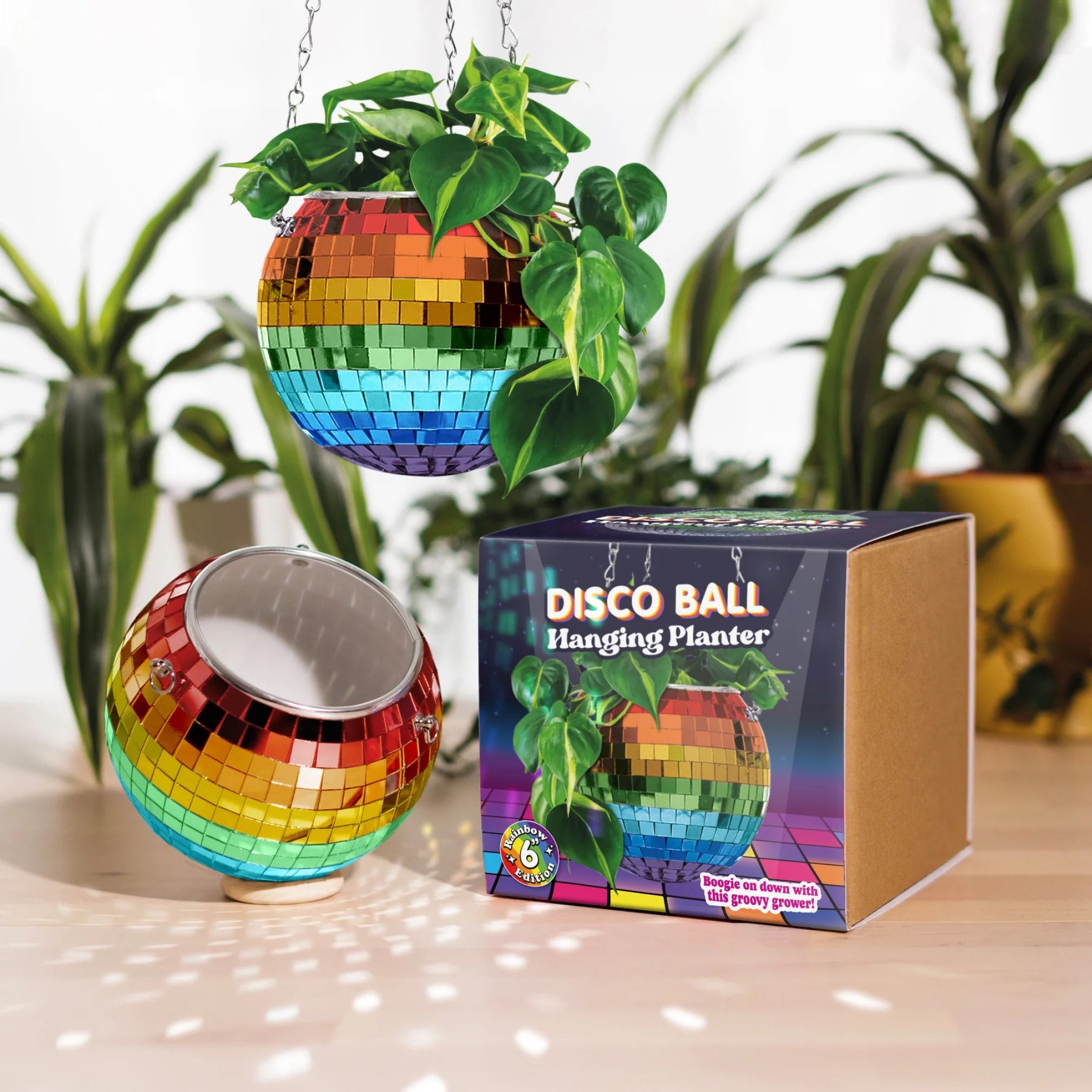 6 inch hanging planter Rainbow Disco Ball Hanging Planter 6 Inch