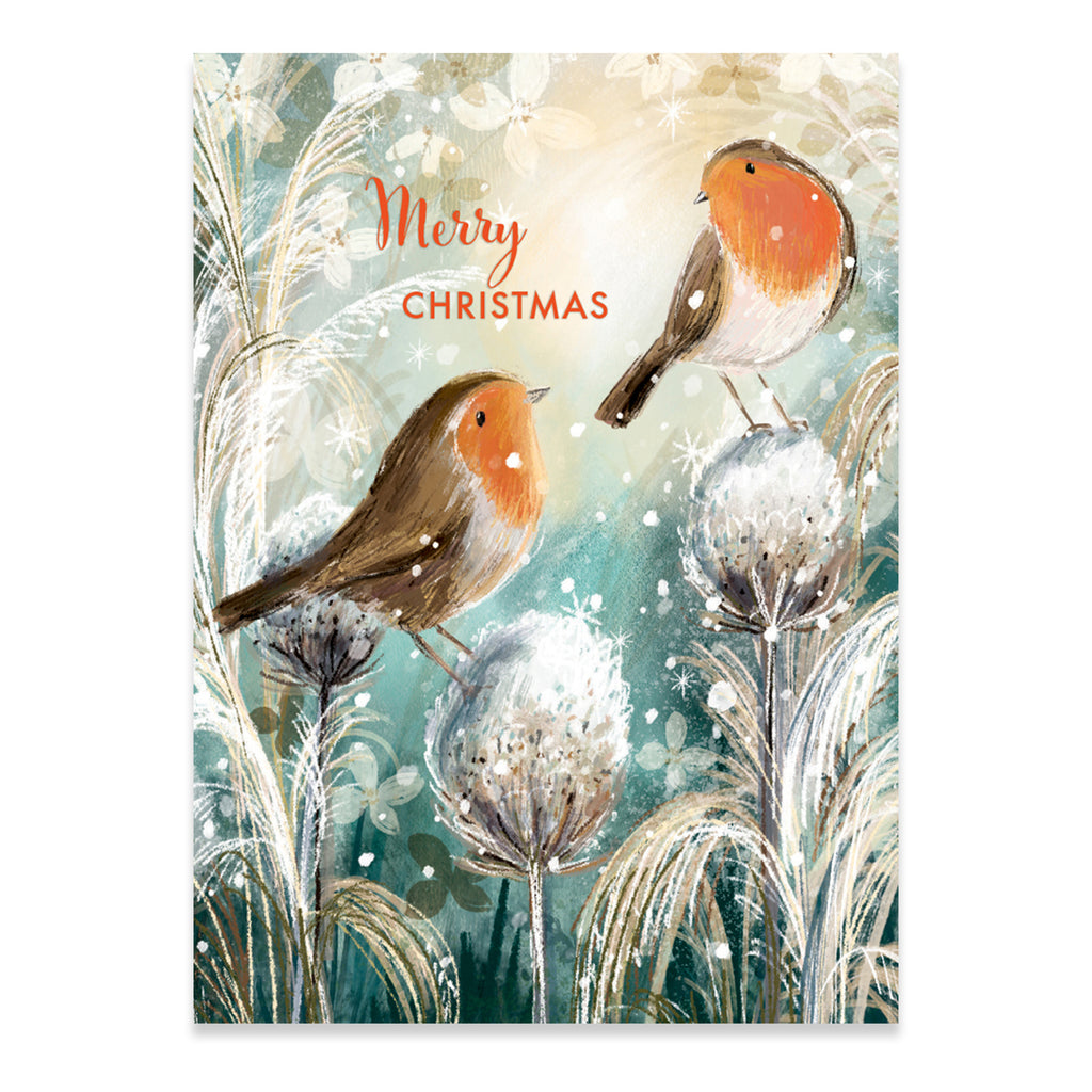 Robins Merry Christmas Card.