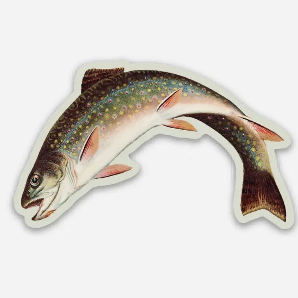 Scandalized Rainbow Trout Small Sticker.