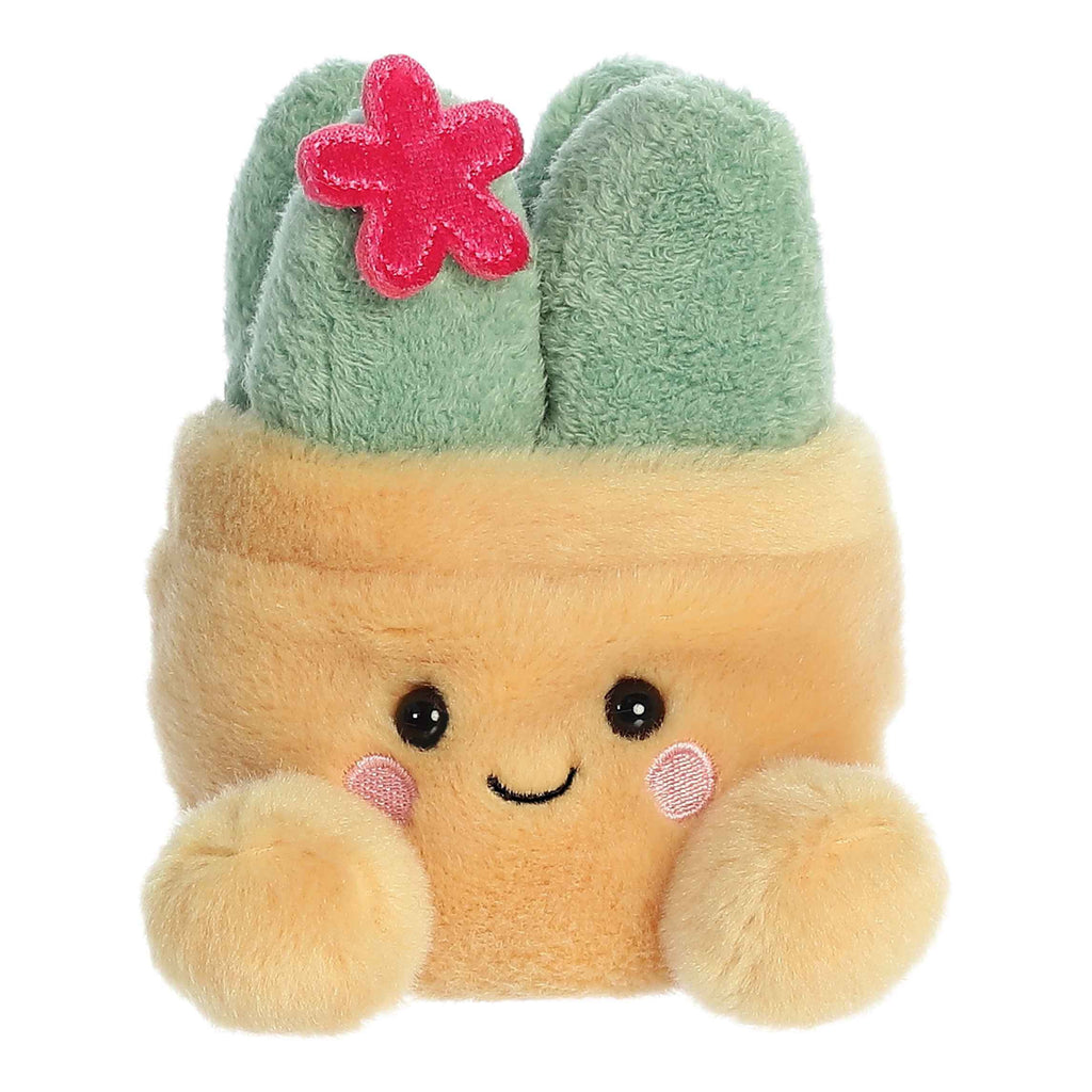 Seyla Succulent Palm Pal.