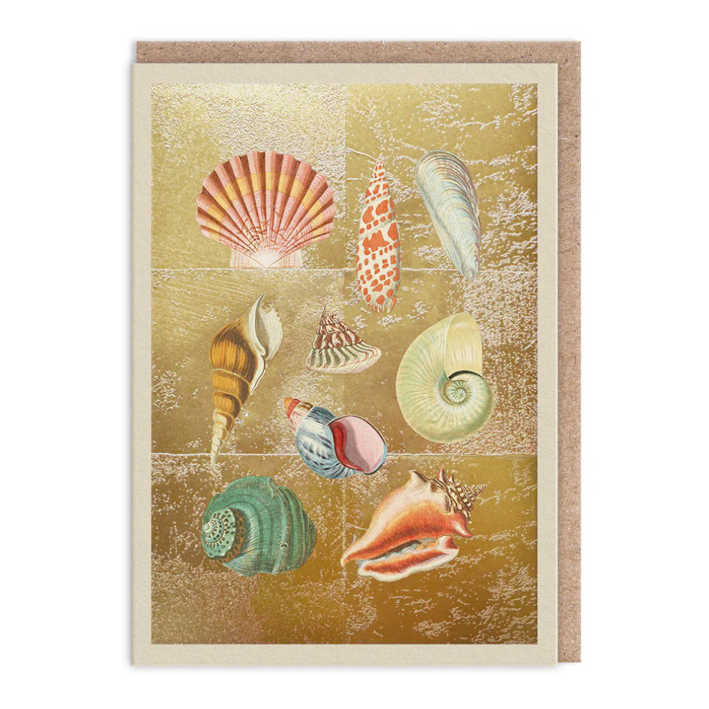 Shell Collection Botanical Drawings Card.