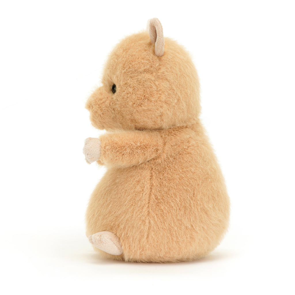 Side of Hank Hamster.