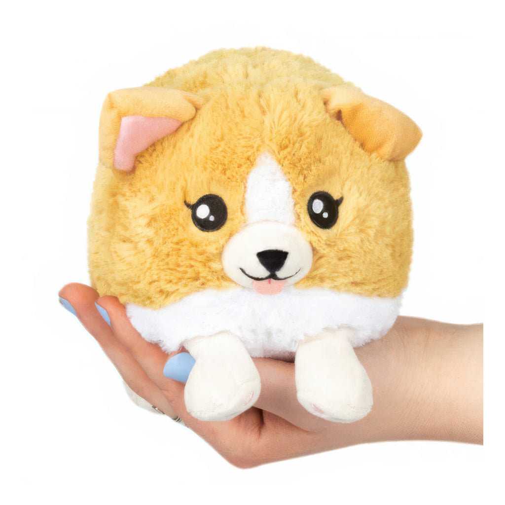Snacker Baby Corgi.